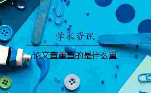 論文查重查的是什么重